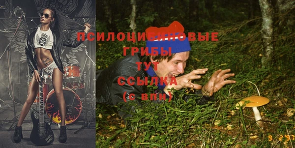 гашик Алзамай