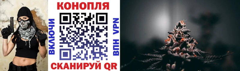 MEGA tor  Жиздра  Марихуана тримм 